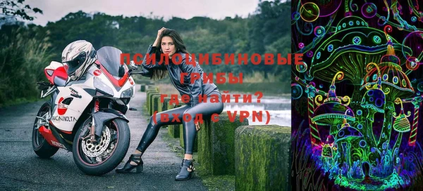 индика Усолье-Сибирское