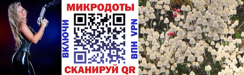 Галлюциногенные грибы Psilocybine cubensis  Купить  Снежинск 